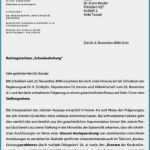 Stellungnahme Schreiben Vorlage Erstaunlich Stellungnahme Schreiben Vorlage Papacfo