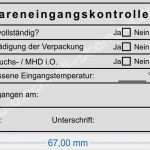 Stempel Vorlage Erstellen Einzigartig Trodat Professional 5208 Wareneingangsprüfung Min