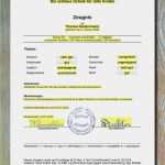 Stempel Vorlage Erstellen Erstaunlich Zeugnis Mit Beliebigen Namen Und Wunschnoten Erstellen