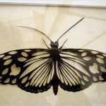 Stofftaschen Bemalen Vorlagen Süß 90 Best T Shirts Bemalen Images On Pinterest