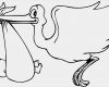Storch Schablonen Vorlagen Cool Pin Storch Bilder Zum Ausmalen On Pinterest