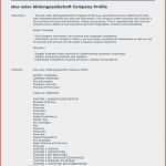 Stornierung Vorlage Hübsch Unitymedia Kundigung Vorlage Umzug Stornierung Vorlage E