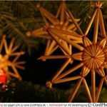 Strohsterne Basteln Vorlagen Luxus Coolphotos Gru Karten Strohsterne An Einem – Vorlagen 365