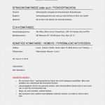Student Lebenslauf Vorlage Erstaunlich Lebenslauf Vorlagen Headhunter100
