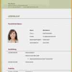 Student Lebenslauf Vorlage Großartig Lebenslauf Student Resignation format – Vorlagen 365