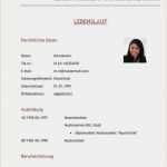 Student Lebenslauf Vorlage Luxus 13 Student Lebenslauf Muster