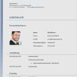 Student Lebenslauf Vorlage Luxus 14 Lebenslauf Beispiel Doc
