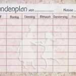 Stundenplan Blockunterricht Vorlage Erstaunlich Stundenplan Stundenplan Abwischbar Wiederbeschreibbar