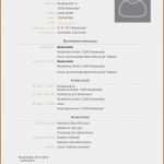 Stundenplan Vorlage Openoffice Elegant Akzeptabel Vorlage Lebenslauf Openoffice Kostenlos