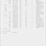 Stundenzettel Minijob Vorlage Erstaunlich 12 Vorlage Stundenzettel Minijob