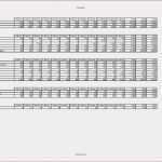 Stundenzettel Vorlage Pdf Wunderbar Stundenzettel Excel Vorlage Kostenlos 2017 Fahrtenbuch