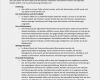 Summary Vorlage Angenehm 15 Beispiel Summary