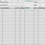 T Konten Vorlage Excel Kostenlos Erstaunlich Niedlich T Kontenvorlage Ideen Dokumentationsvorlage