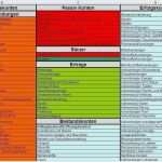 T Konten Vorlage Excel Kostenlos Fabelhaft T Konten Vorlage Excel Luxus Rechnungswesen sortiert