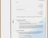 T Konten Vorlage Pdf Cool T Konten Vorlage Pdf 15 T Kontenblatt Vorlage