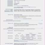 T Konten Vorlage Pdf Erstaunlich T Konten Vorlage Pdf 15 T Kontenblatt Vorlage