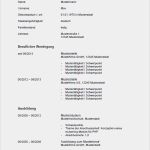 Tabellarischer Lebenslauf 2018 Vorlage Erstaunlich Lebenslauf Muster & Vorlagen Für Bewerbung 2019