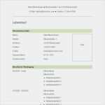 Tabellarischer Lebenslauf Kostenlose Vorlage Einzigartig Vorlage 41 Tabellarischer Lebenslauf