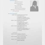 Tabellarischer Lebenslauf Kostenlose Vorlage Großartig Lebenslauf Muster 4 Kreative Bewerbungsvorlage