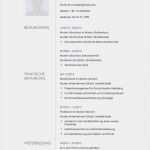 Tabellarischer Lebenslauf Schüler Vorlage Erstaunlich Lebenslauf Muster Für Multimediakünstler