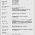 Tabellarischer Lebenslauf Schüler Vorlage Neu Tabellarischer Lebenslauf Schüler Vorlage Gut Ferienjob