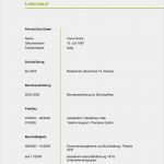 Tabellarischer Lebenslauf Schüler Vorlage Zum Ausfüllen Angenehm Muster Lebenslauf Word Muster Lebenslauf Nebenjob