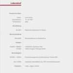 Tabellarischer Lebenslauf Schüler Vorlage Zum Ausfüllen Bewundernswert 14 Vorlagen Tabellarischer Lebenslauf Schüler Vorlage Zum