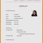 Tabellarischer Lebenslauf Schülerpraktikum Vorlage Schönste 7 Lebenslauf Vorlage Für Schülerpraktikum
