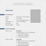 Tabellarischer Lebenslauf Schülerpraktikum Vorlage Wunderbar Lebenslauf Muster &amp; Vorlagen Für Bewerbung 2018