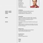 Tabellarischer Lebenslauf Uni Vorlage Bewundernswert Jana Mosatova Lipamed