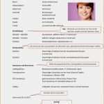 Tabellarischer Lebenslauf Uni Vorlage Gut 17 Lebenslauf Für Uni Bewerbung