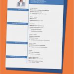 Tabellarischer Lebenslauf Vorlage Kostenlos Download Erstaunlich 17 Tabellarischer Lebenslauf Muster Kostenlos