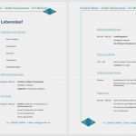 Tabellarischer Lebenslauf Vorlage Kostenlos Download Genial Lebenslauf Muster Bildungsbibel