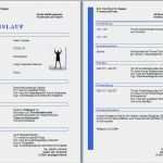 Tabellarischer Lebenslauf Vorlage Kostenlos Download Wunderbar Lebenslauf formular Zum Ausdrucken Lebenslauf Beispiel