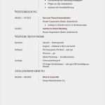 Tabellarischer Lebenslauf Vorlage Lehrer Bewundernswert 25 Best Ideas About Lebenslauf Muster On Pinterest