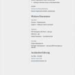 Tabellarischer Lebenslauf Vorlage Lehrer Fabelhaft Lebenslauf Muster Für Pfleger