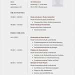 Tabellarischer Lebenslauf Vorlage Lehrer Schönste 14 Perfekt Tabellarischer Lebenslauf Lehrer Interview