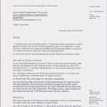 Tabellarischer Lebenslauf Vorlage Schülerpraktikum Beste Beschwerde Gegen Lehrer Vorlage Lebenslauf Muster