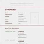 Tabellarischer Lebenslauf Vorlage Schülerpraktikum Süß Vorlage 30 Tabellarischer Lebenslauf