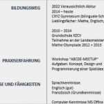 Tabellarischer Lebenslauf Vorlage Schülerpraktikum Wunderbar Bewerbung Schülerpraktikum Tabellarischer Lebenslauf