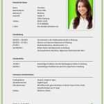 Tabellarischer Lebenslauf Vorlage Zum Ausfüllen Einzigartig 14 Vorlagen Tabellarischer Lebenslauf Schüler Vorlage Zum