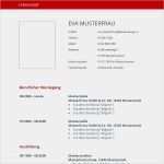 Tabellarischer Lebenslauf Vorlage Zum Ausfüllen Erstaunlich Lebenslauf Muster Zum Ausfüllen 9 Lebenslauf Vordruck Zum