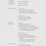 Tabellarischer Lebenslauf Vorlage Zum Ausfüllen Genial 14 Vorlagen Tabellarischer Lebenslauf Schüler Vorlage Zum