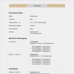 Tabellarischer Lebenslauf Vorlage Zum Ausfüllen Süß Tabellarischer Lebenslauf Vorlage Bewerbung