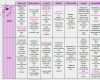 Tagebuch Abnehmen Vorlage Einzigartig Abnehm Tagebuch Vorlage Onenote