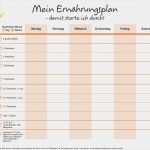 Tagebuch Abnehmen Vorlage Elegant Ernährung Erfolgreich Umstellen Ernährungstagebuch Und