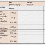 Tagebuch Abnehmen Vorlage Großartig atemberaubend Workout Tagebuch Vorlage Bilder