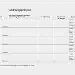 Tagebuch Abnehmen Vorlage Gut Ernährungstagebuch