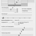 Tagebuch Abnehmen Vorlage Hübsch Diät Planer Trainingsplan Abnehmen Vorlage