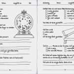 Tagebuch Schreiben Vorlage Wunderbar Sauwohl Oder Hundeelend Von Christiane Schlüter Buch